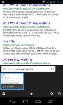 Uullu Browser - Fast, Private & Adblocker screenshot 2