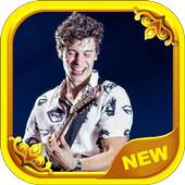 Songs Shawn Mendes Offline 1.0