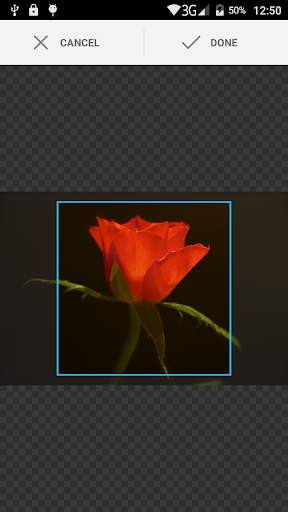 Image Search App screenshot 5