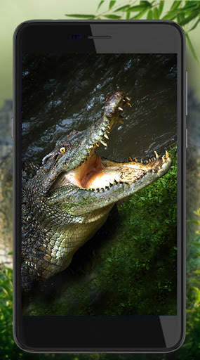 Crocodiles Tropical screenshot 4