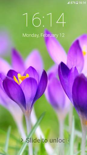 Spring Flowers Pattern Lock Screen 3 تصوير الشاشة