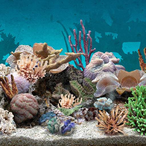 3D Aquarium Live Wallpaper 1.1.5