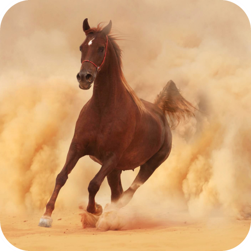 Horse Wallpaper Best HD icon