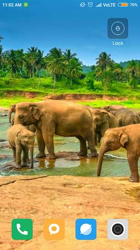 Elephant Wallpaper screenshot 4