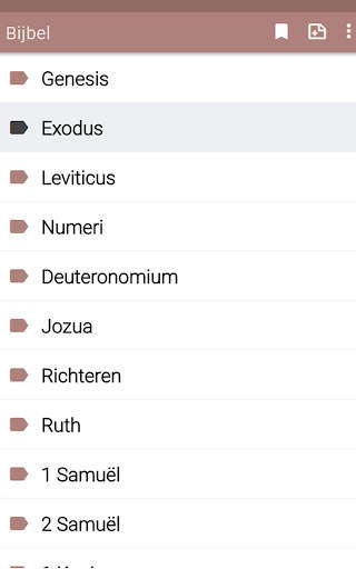 Bible in Dutch offline audio screenshot 2