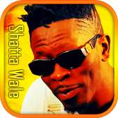 Shatta Wale 2019 best songs without net 1.1