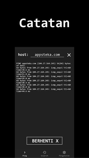Ping screenshot 2