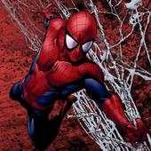 Spider Man SuperHero Photo Edit 1.0