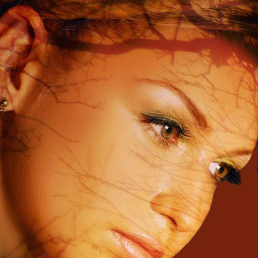 Image Mixer screenshot 1