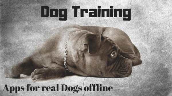 Dog Training Apps for real Dogs offline screenshot 8