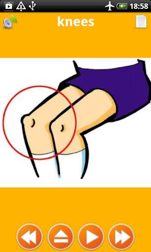 Learning body parts for kids offline flashcards screenshot 1