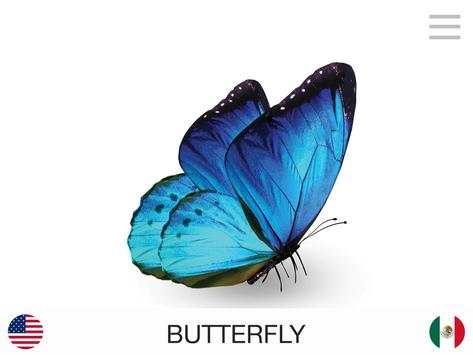 Lyrebird: Learn ENGLISH screenshot 11