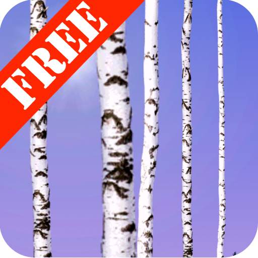 Birch Wood Free LWP 1.03