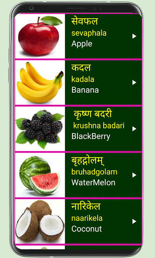 Learn Sanskrit From English स्क्रीनशॉट 7