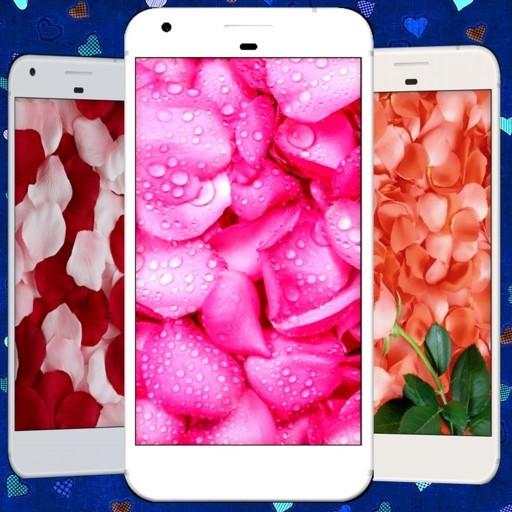 Rose petals Live Wallpaper screenshot 4