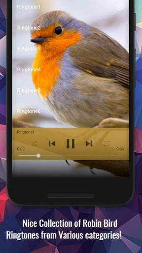 Robin Bird Ringtones screenshot 2