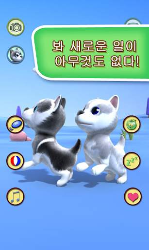 미식 축구에서 애완견을 말하기 screenshot 5