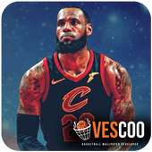 LeBron James Wallpapers 🏀 icon