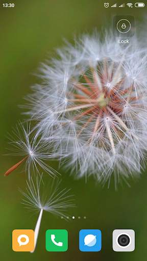 Dandelion Wallpaper HD screenshot 4