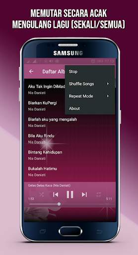 Kumpulan Lagu NIA DANIATI Offline Full Album screenshot 4