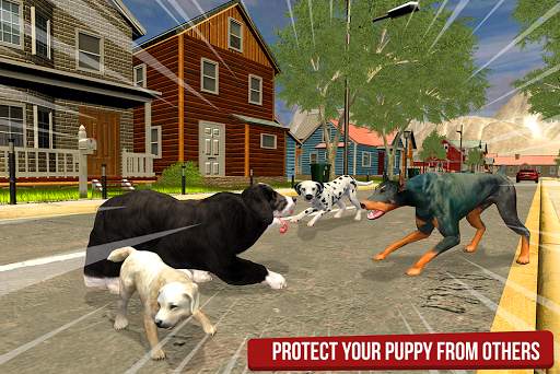 Domestic Dog Simulator: stray dog games screenshot 7