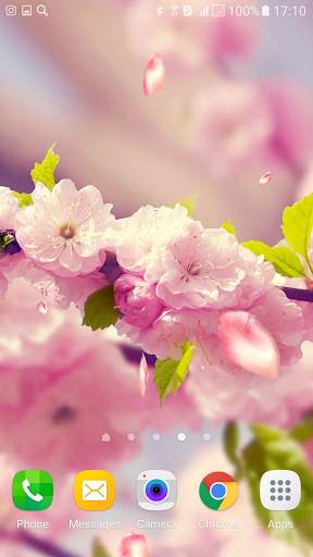 Flowers 3D live wallpaper screenshot 2