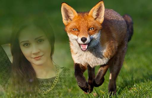 Animal Photo Frames screenshot 5