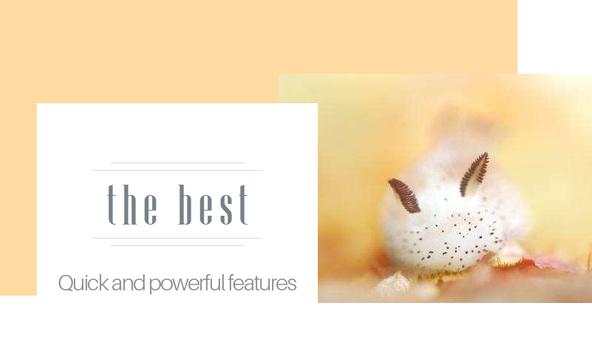 Lady Camera 2 تصوير الشاشة
