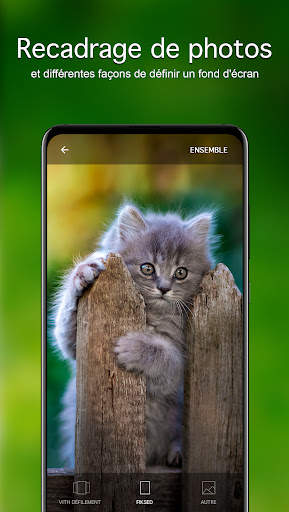 Chatons Fonds d'écran 4K screenshot 4