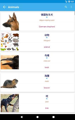 Chinese Vocabulary By Topics (With Pictures) screenshot 15