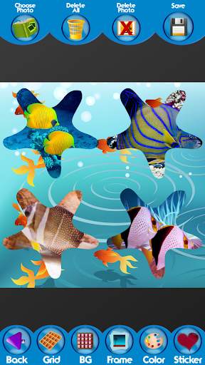 Fish Photo Collage Maker screenshot 4