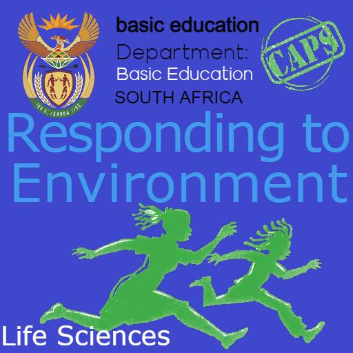 Responding to Environment | Life Sciences Grade 12 8