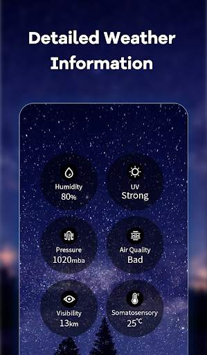 Local Weather screenshot 5