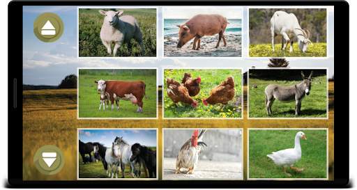 Animal Sounds screenshot 7