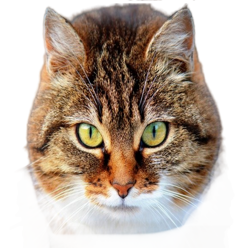 Animal Sounds icon