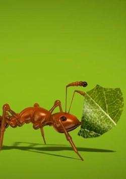 Ant Live Wallpaper screenshot 3
