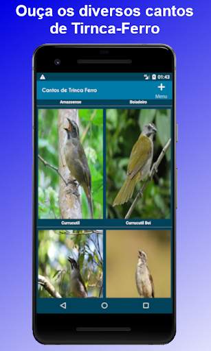 Cantos de Trinca Ferro screenshot 1