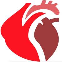 ECG Research App