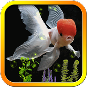 Fish Brain Live Wallpaper icon