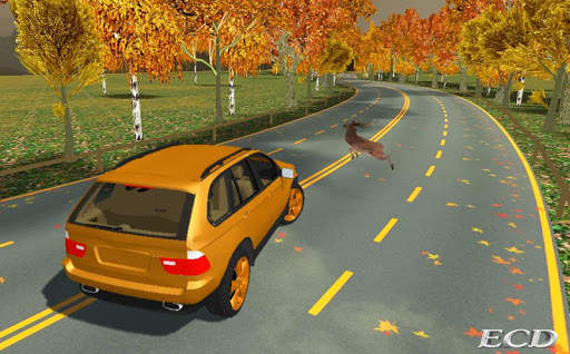 Extreme Car Drive screenshot 4