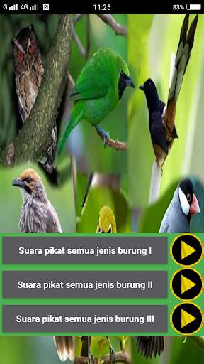 Suara pikat burung liar screenshot 3