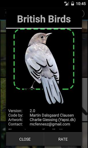 British Birds screenshot 7