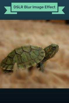 Blur Image Background Light Photo Editor screenshot 5