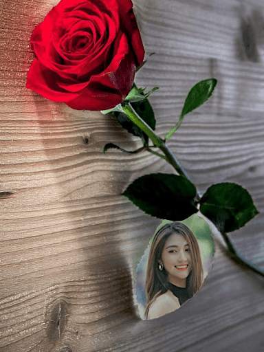 Red Rose Photo Montage screenshot 7