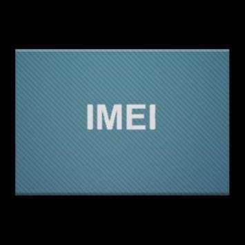 My IMEI screenshot 1