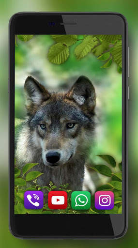Forest Animals Live Wallpaper screenshot 1