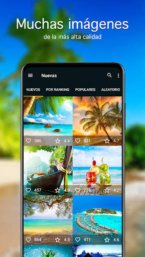 Fondos de pantalla verano 4K screenshot 2