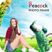 Peacock Photo Frame on 9Apps