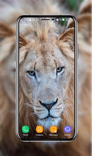 New Lion Wallpaper screenshot 14