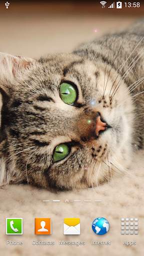 Cat Live Wallpaper screenshot 3